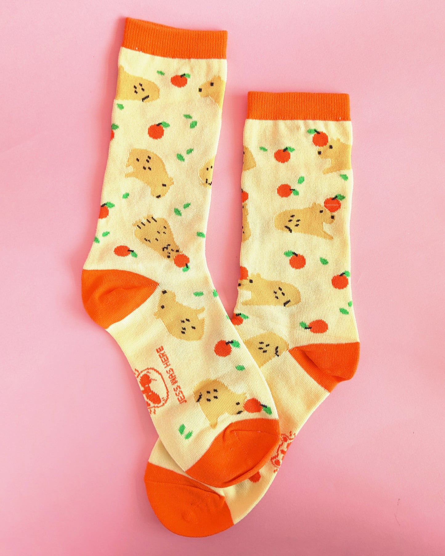 Capybara Socks