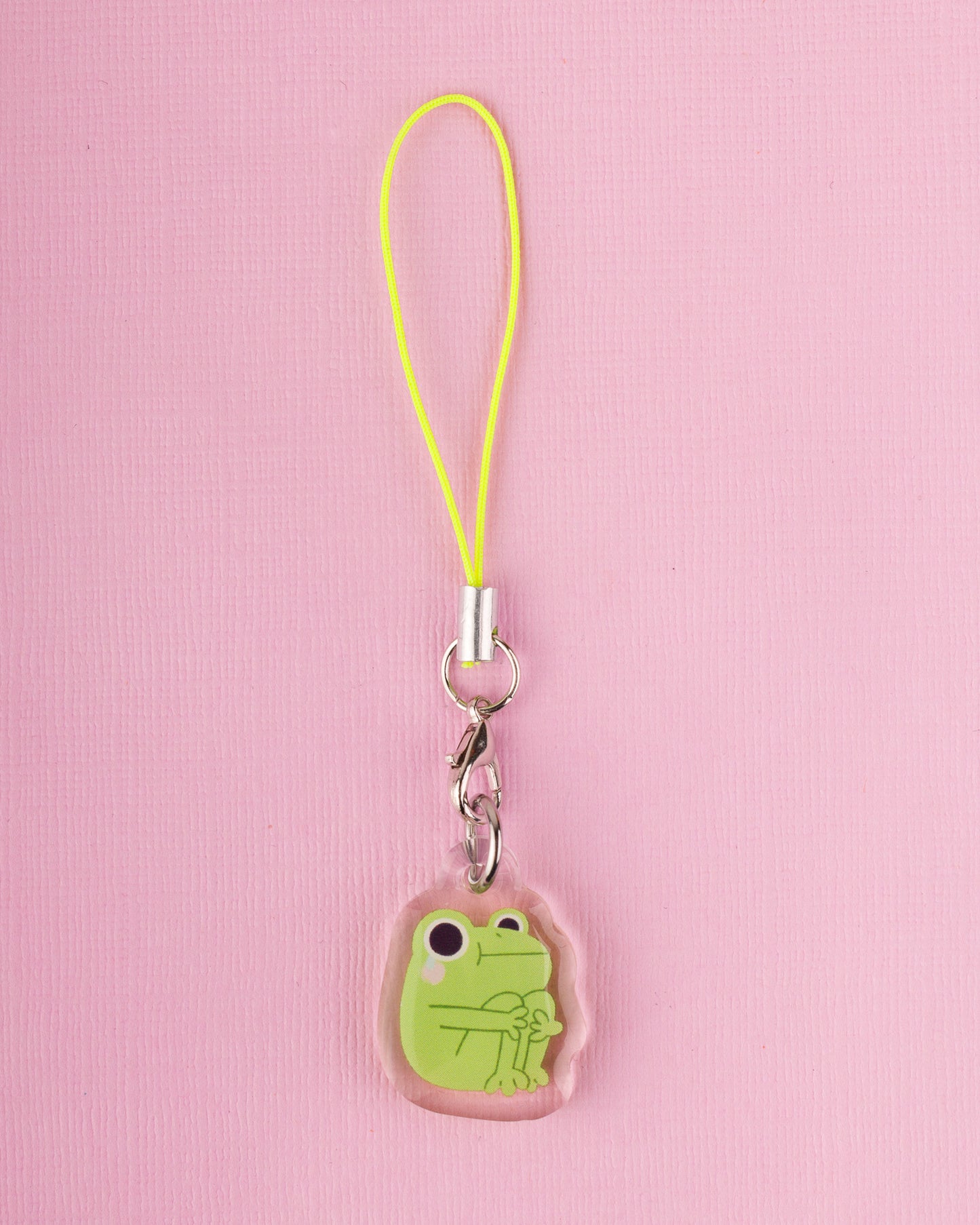 Sad Frog - Acrylic Phone Charm