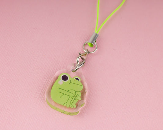 Sad Frog - Acrylic Phone Charm