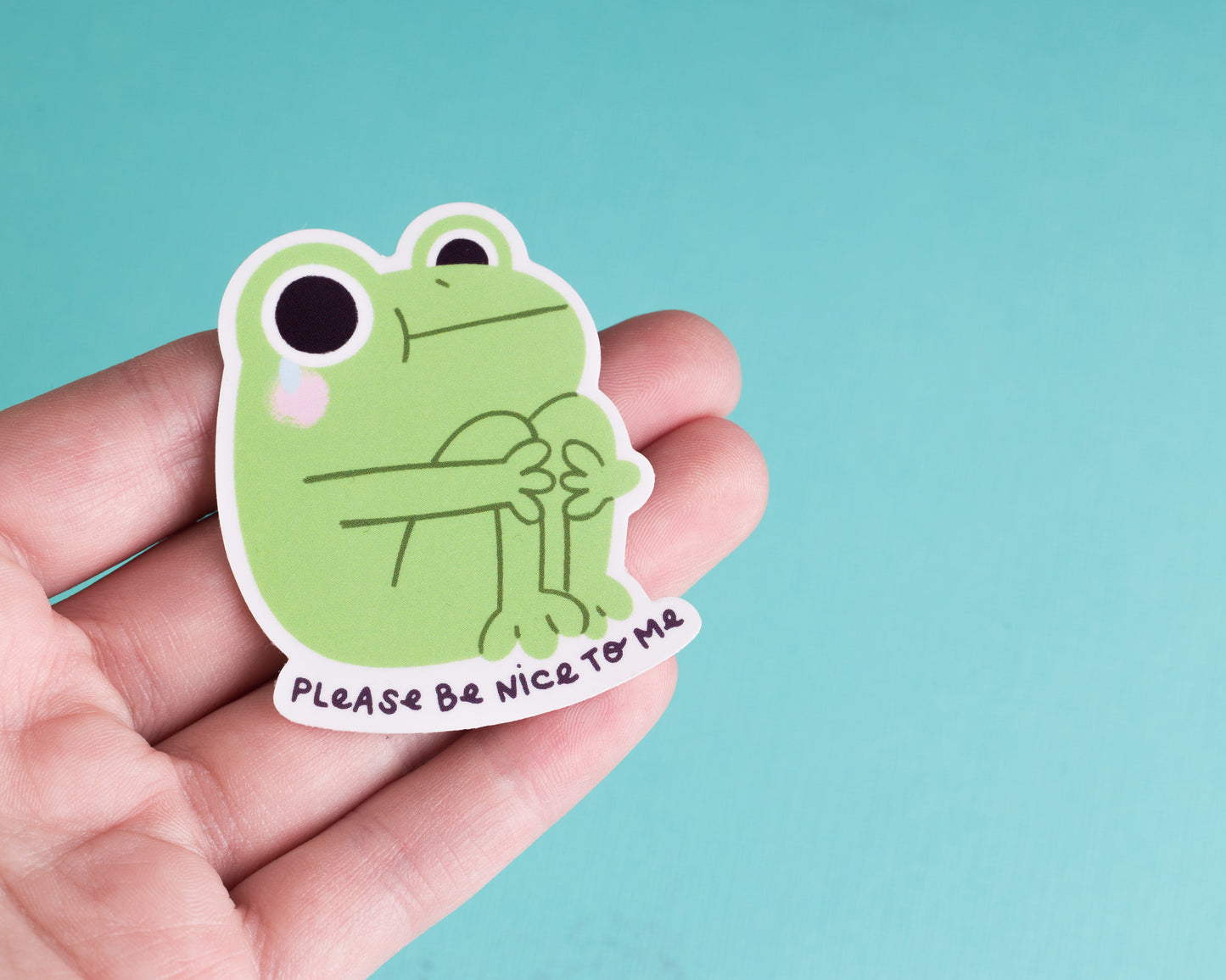 Frog Be Nice to Me - Vinyl Sticker