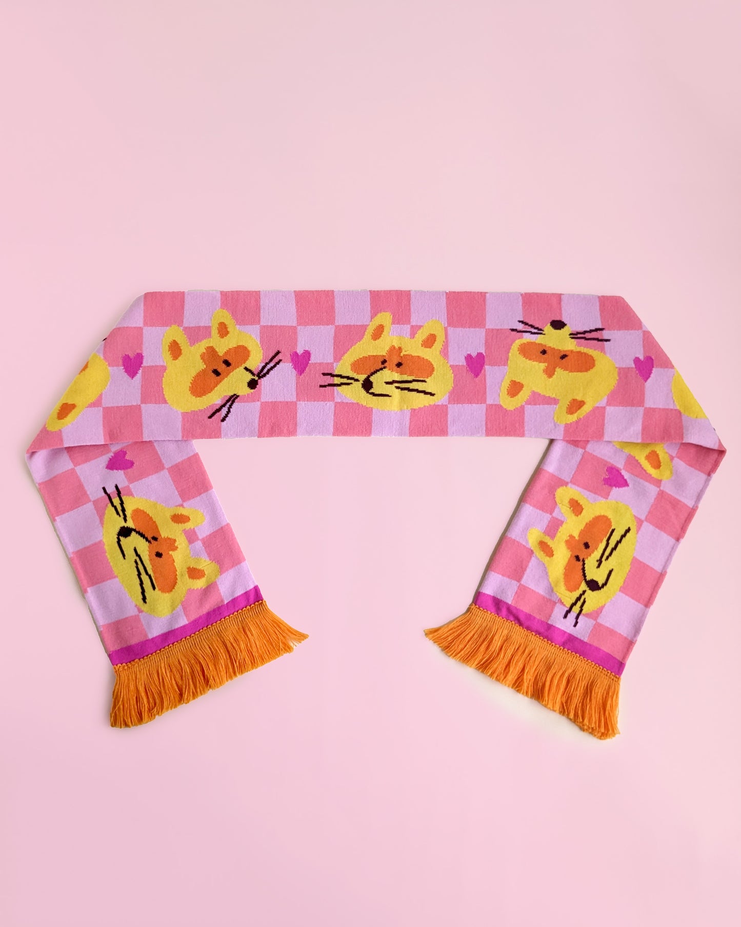 Raccoons and Hearts - Scarf