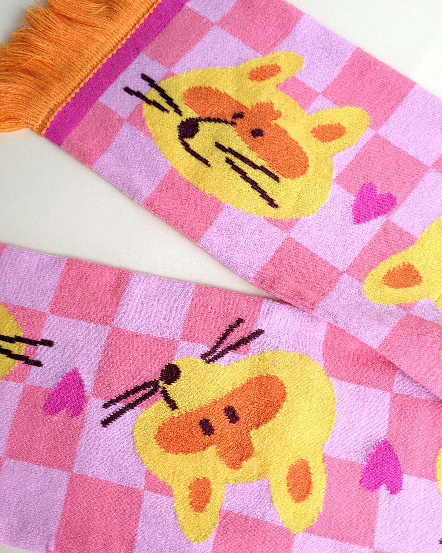 Raccoons and Hearts - Scarf