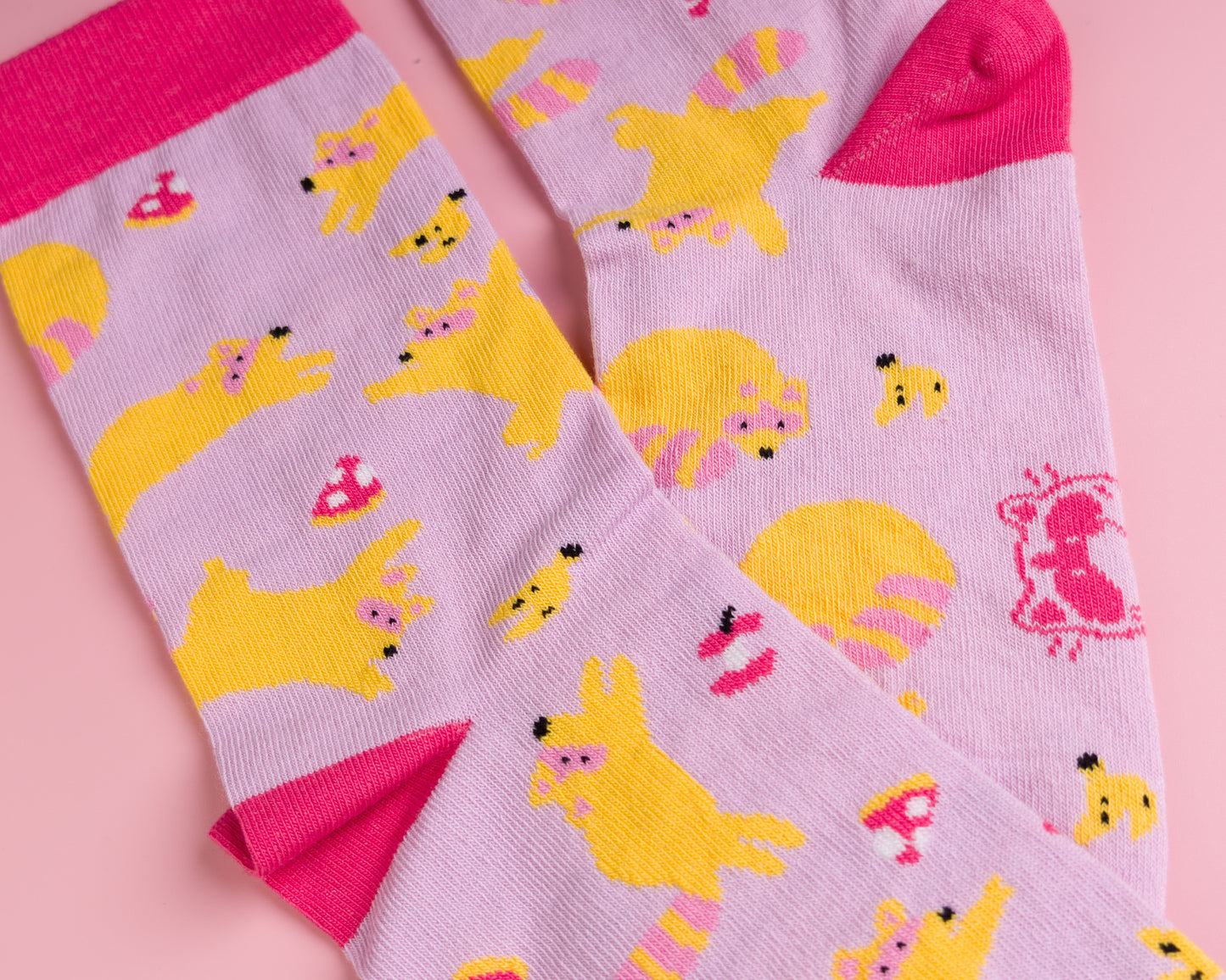 Raccoons Socks