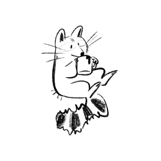 Little raccoon sketch