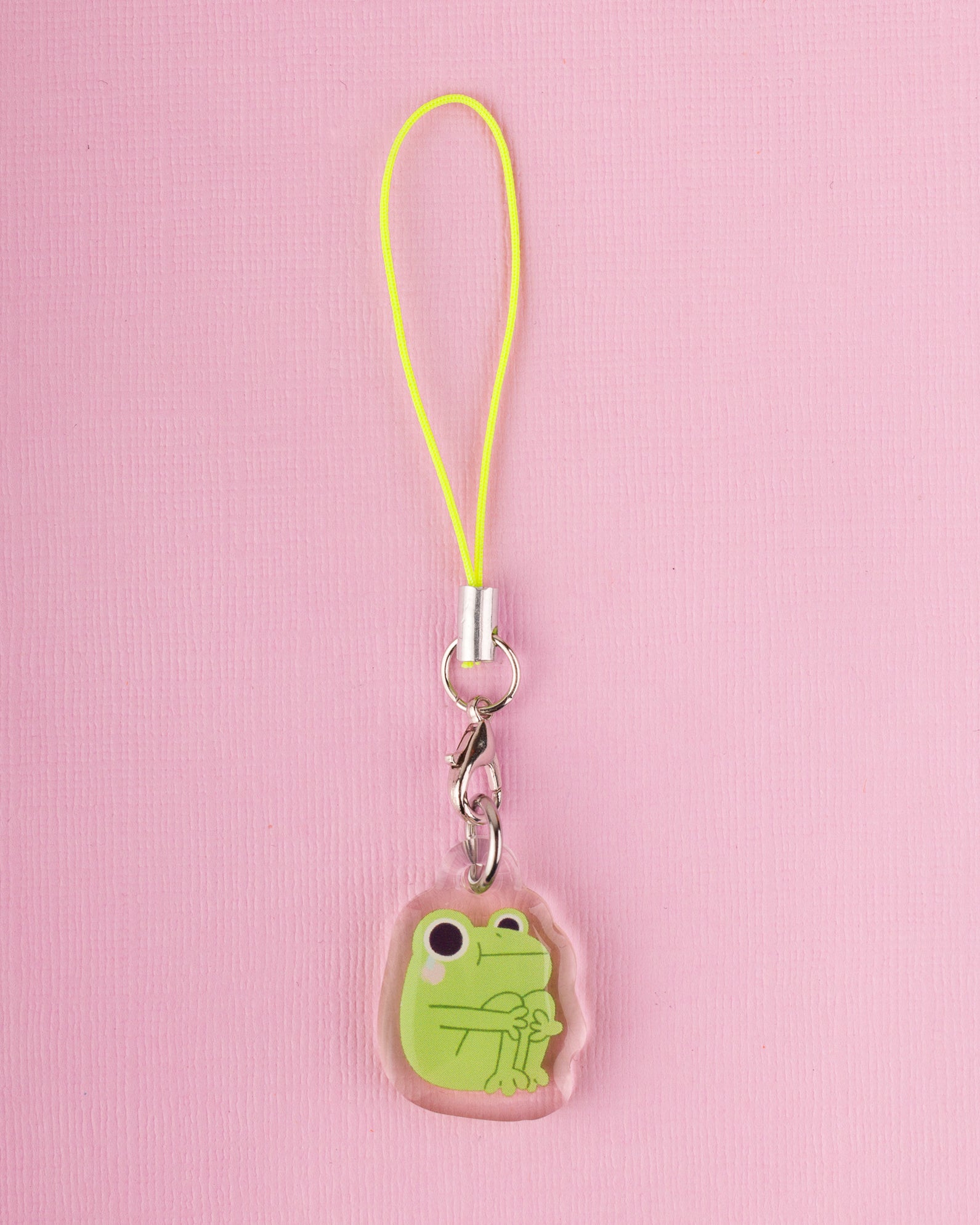 Sad Frog - Acrylic Phone Charm