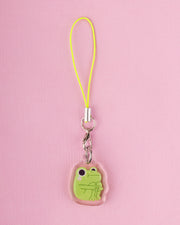 Sad Frog - Acrylic Phone Charm