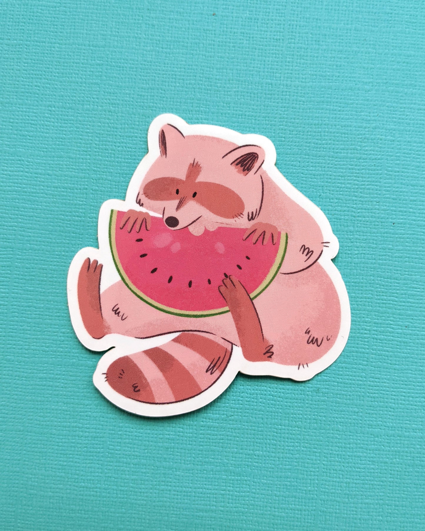 Raccoon Watermelon - Vinyl Sticker